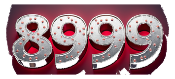 8999 logo